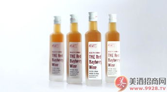 湘西風味，梅香醉人——靖州湘百仕楊梅酒產品展示